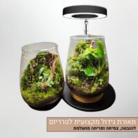תאורת גידול מקצועית לצמחי טרריום