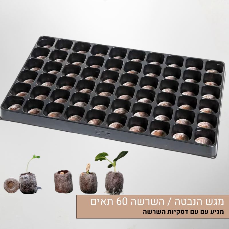 מגש הנבטה השרשה 60 תאים עם דסקיות השרשה מגש הנבטה / השרשה 60 תאים עם דסקיות השרשה
