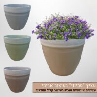 עציץ סביוני איכותי במראה אביבי עדין
