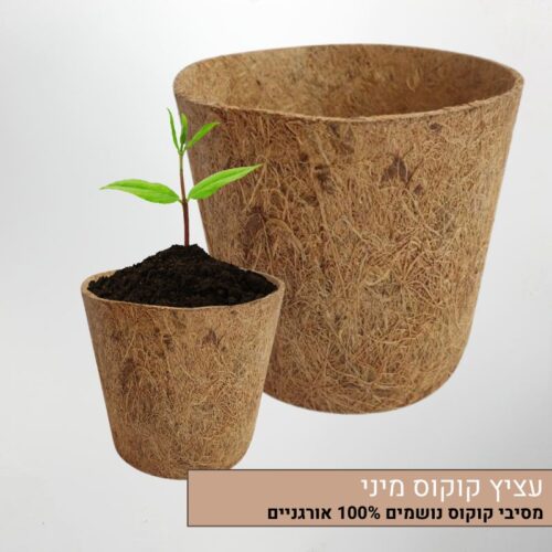 עציץ קוקוס מיני