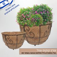 עציץ קוקוס עגול