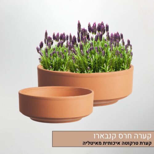 קערה חרס קנבארו