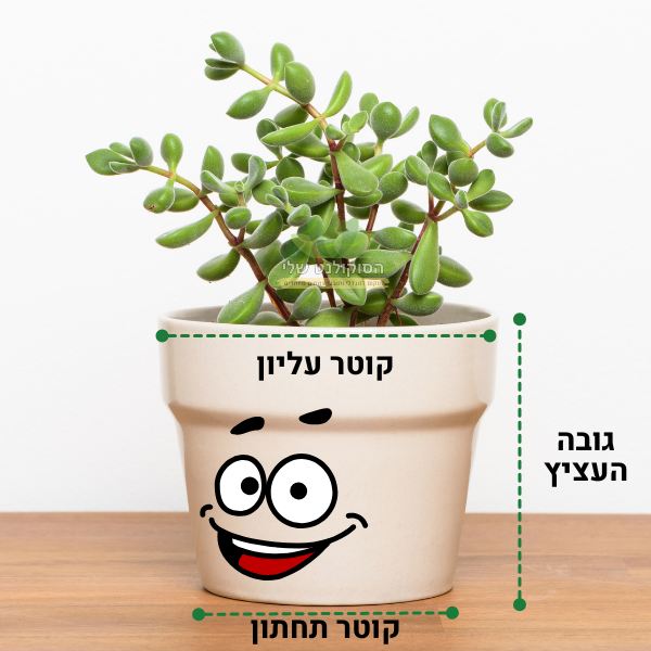 עציץ