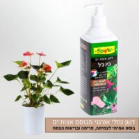 דשן אצות ביו ג'ל
