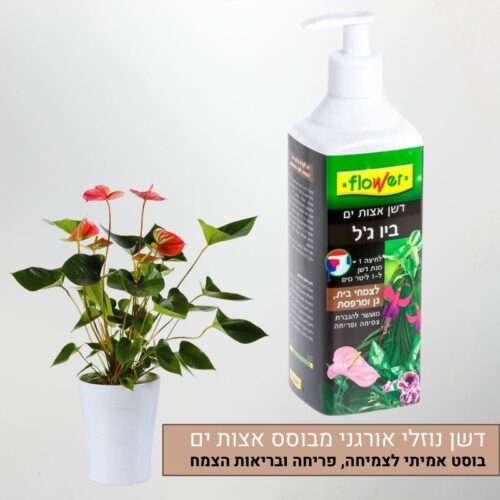דשן אצות ביו ג'ל