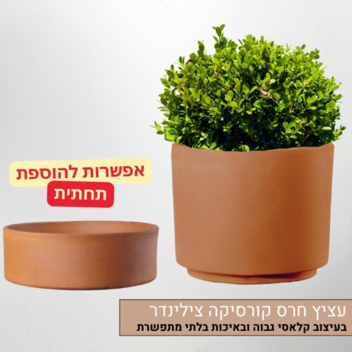 עציץ חרס קורסיקה צילינדר