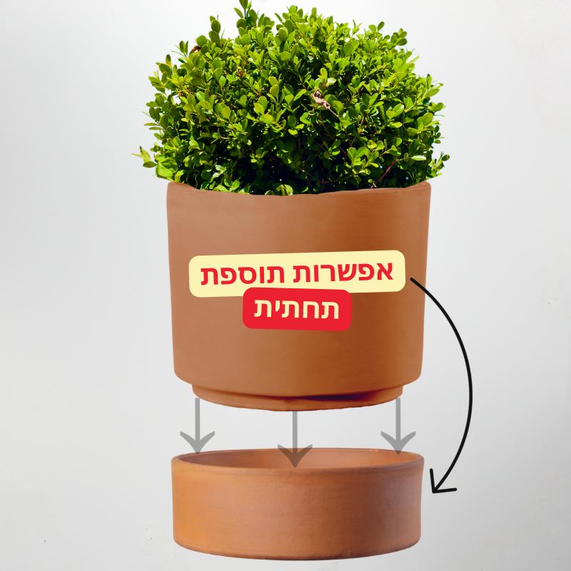 עציץ חרס קורסיקה צילינדר אפשרות לתחתית עציץ חרס קורסיקה צילינדר אפשרות לתחתית