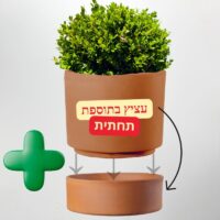 עציץ חרס קורסיקה צילינדר עם תחתית עציץ חרס קורסיקה צילינדר עם תחתית