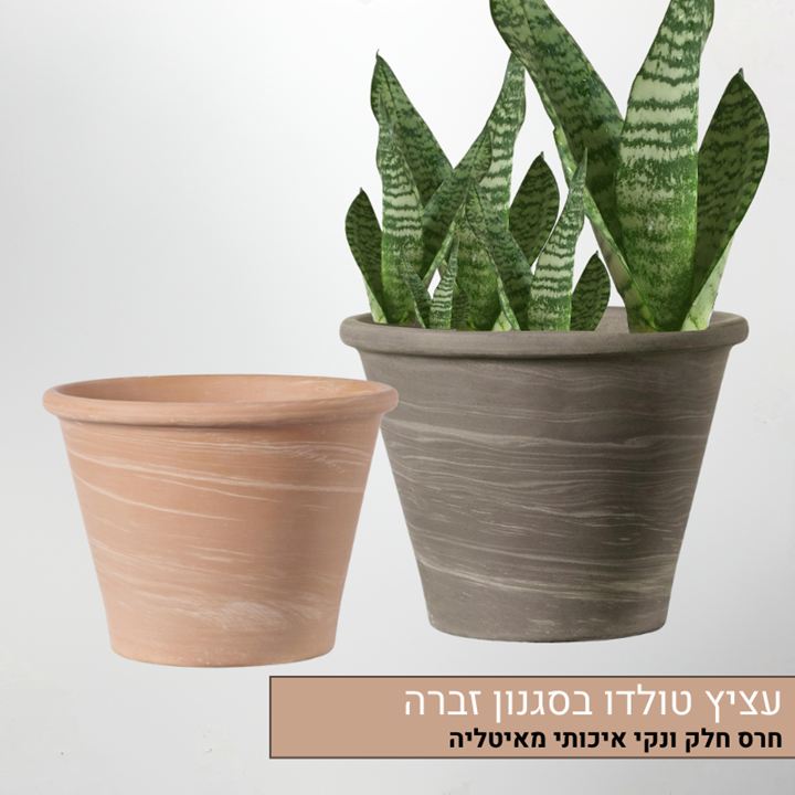 עציץ טולדו בסגנון זברה עציץ טולדו בסגנון זברה