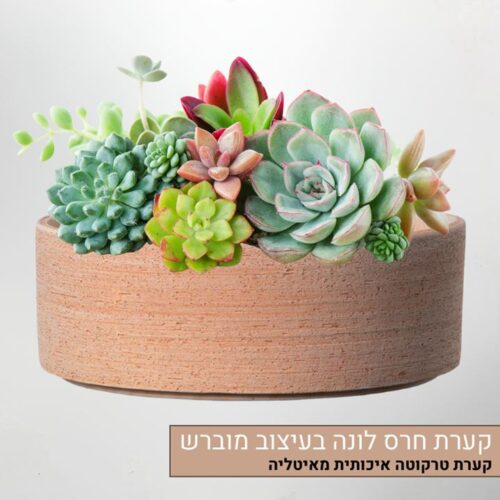 קערה חרס לונה