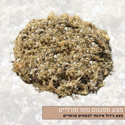 מצע ספגנום מוס ופרלייט