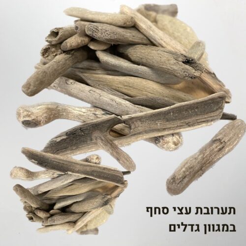 עצי סחף דריפטווד