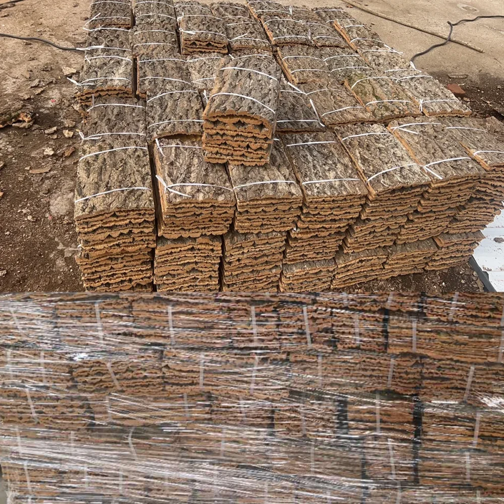 קליפת עץ דקורטיבית טבעית ליצירת נוף בטרריומים, פלנדריומים ועיצובים בוטניים