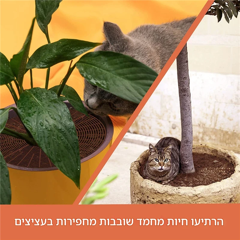 רשת הגנה לעציצים מפני בעלי חיים