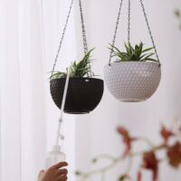 משפך מעוצב לצמחי בית עם זרבובית Long Spout ארוכה ודקה - השקיה מדויקת למקומות צרים וצמחים תלויים | 500 מל