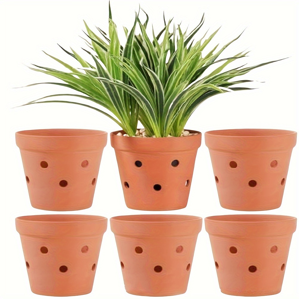 product-fancy-c73e0d07-c952-4ece-bb59-63afb22c00b1 6 עציצי חרס טרקוטה נקבוביים מחימר טבעי נושם לצמחים אוהבי זרימת אויר