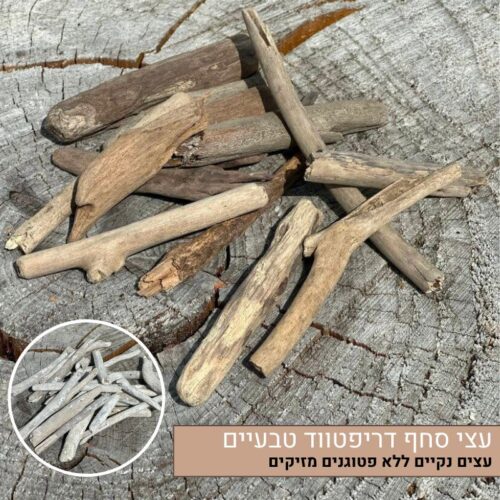 מגוון עצי סחף דריפטווד
