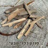 עצי סחף דריפטווד טבעי