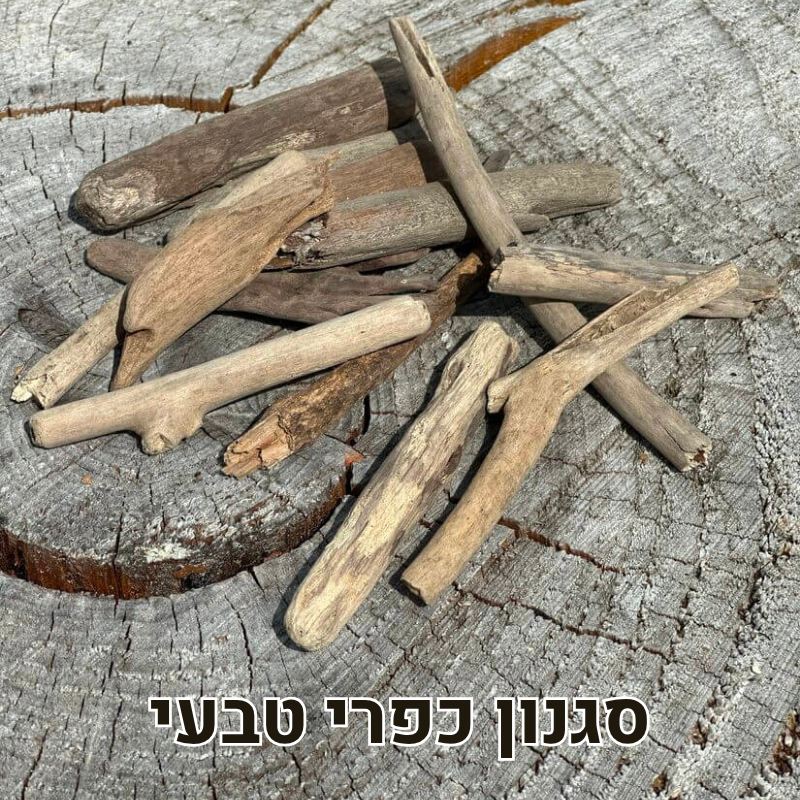 עצי סחף דריפטווד טבעי