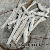 עצי סחף דריפטווד לבן