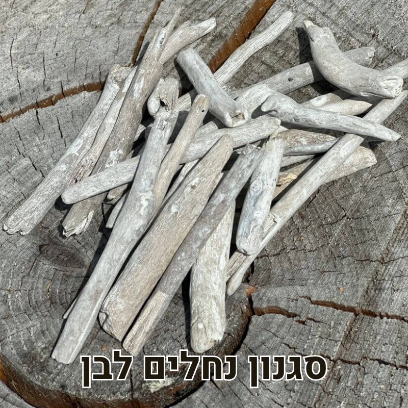 עצי סחף דריפטווד לבן