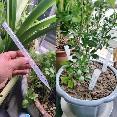 צינורות נשימה לעציצים לאוורור והנשמת השורשים - פתרון חכם לצמחים בריאים