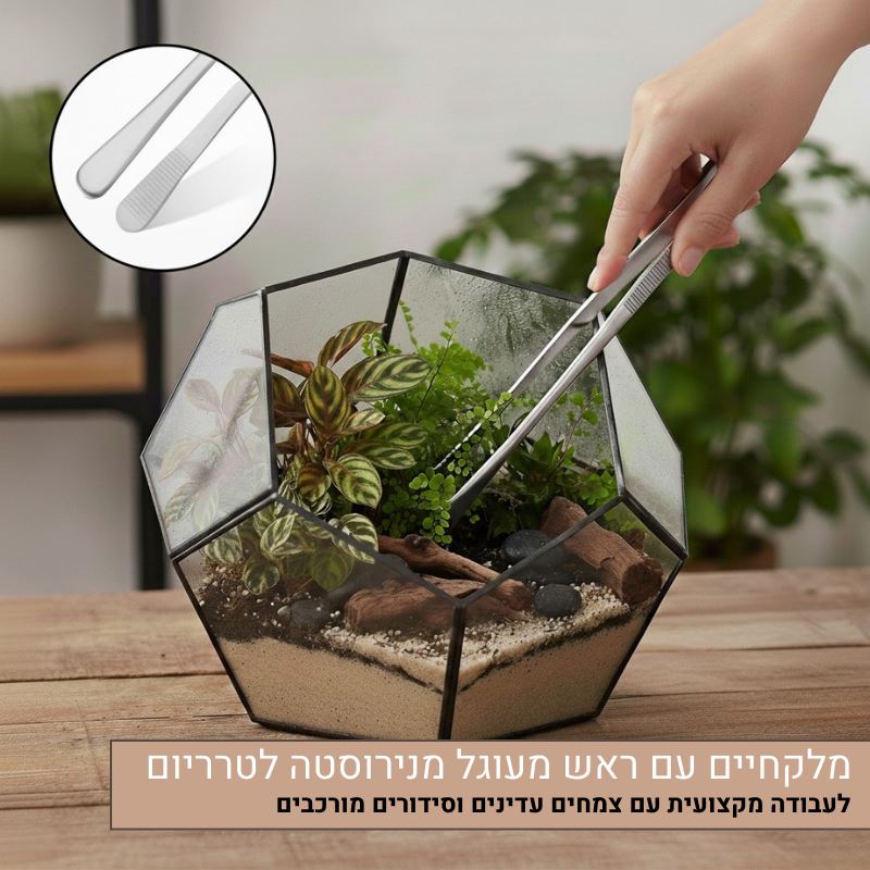 מלקחיים עם ראש מעוגל מנירוסטה לטרריום