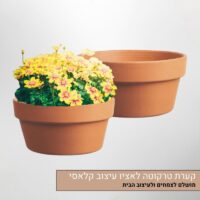 קערת טרקוטה לאציו - עיצוב קלאסי מושלם לצמחים ולעיצוב הבית