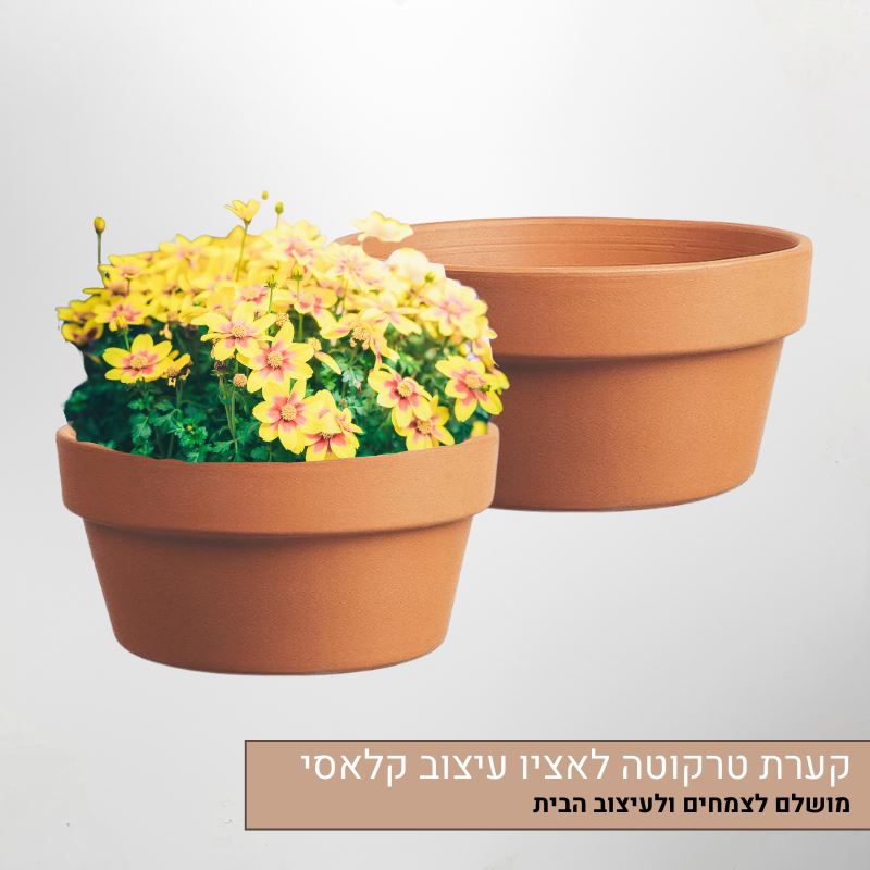 קערת טרקוטה לאציו - עיצוב קלאסי מושלם לצמחים ולעיצוב הבית
