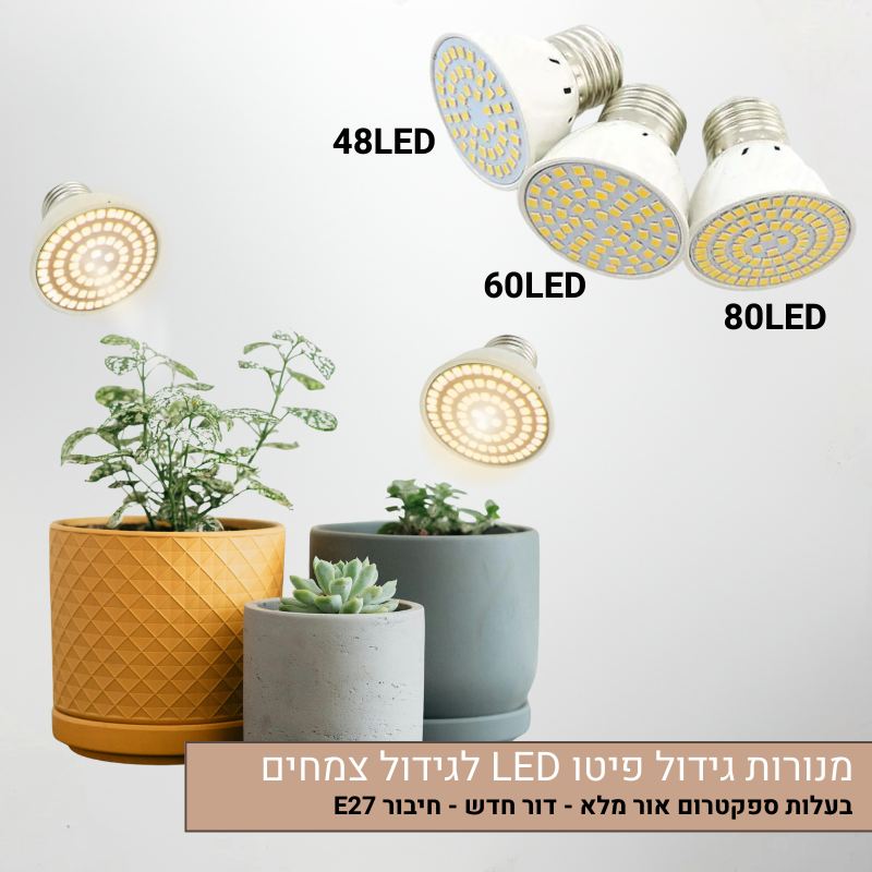 מנורות גידול פיטו מנורות גידול פיטו