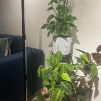 מערכת תאורה חכמה מתכווננת ומודולרית עם טיימר אוטומטי ובעלת פיזור אור 180° לתוצאות מקצועיות.