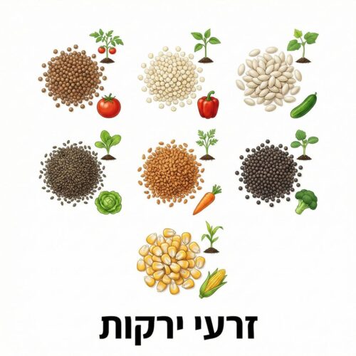 זרעי ירקות