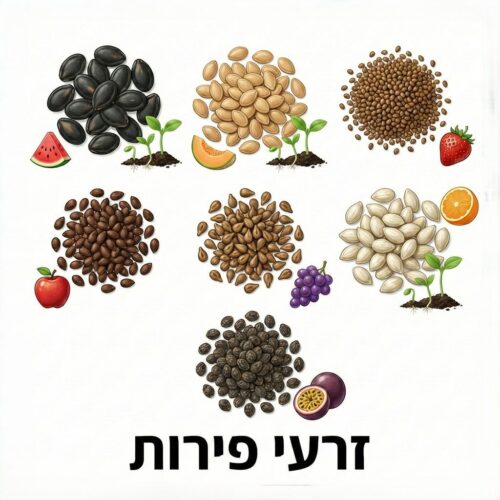 זרעי פירות