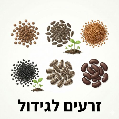 זרעים לגידול