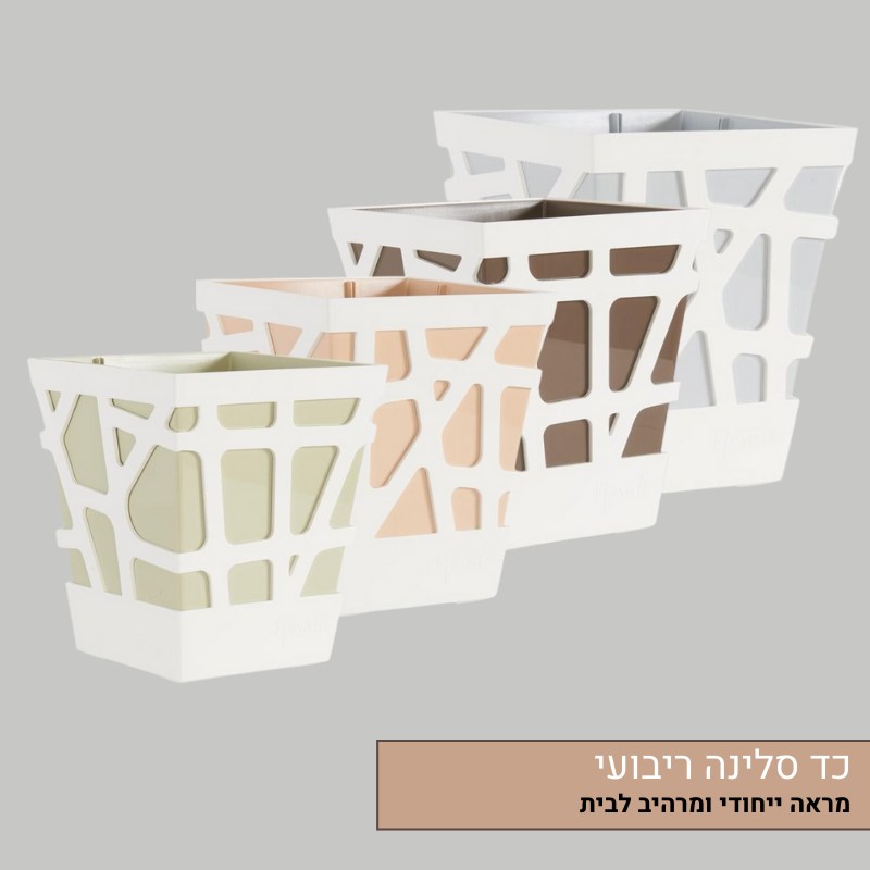כד סלינה ריבועי