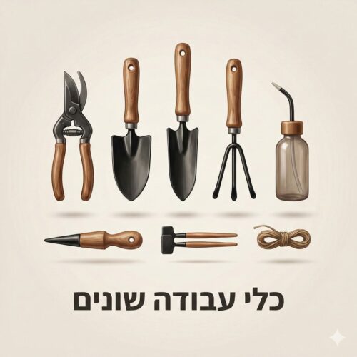 כלי עבודה שונים כלי עבודה שונים
