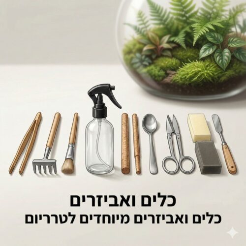 כלים ואביזרים - כלים מיוחדים לטרריום