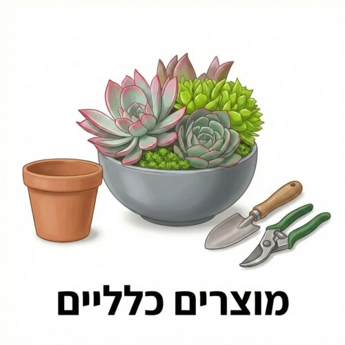 מוצרים כלליים מוצרים כלליים