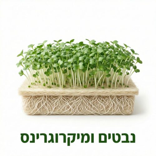 נבטים ומיקרוגרינס