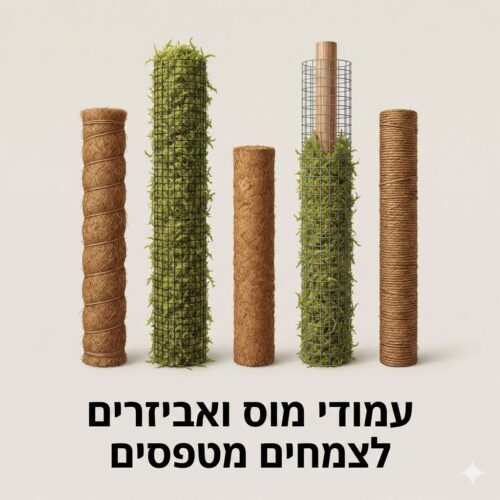 עמודי מוס ואביזרים לצמחים מטפסים עמודי מוס ואביזרים לצמחים מטפסים