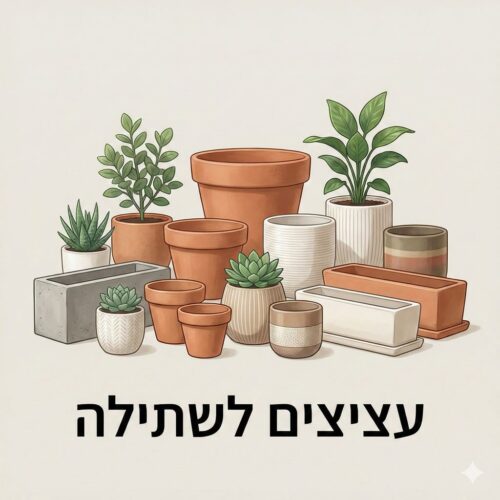 עציצים לשתילה