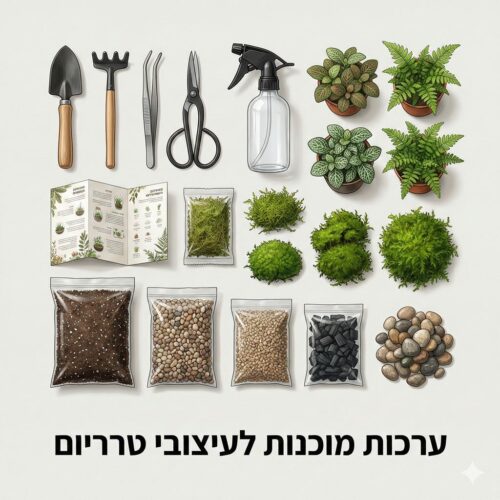 ערכות מוכנות לעיצוב טרריום