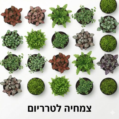 צמחיה וצמחים לטרריום