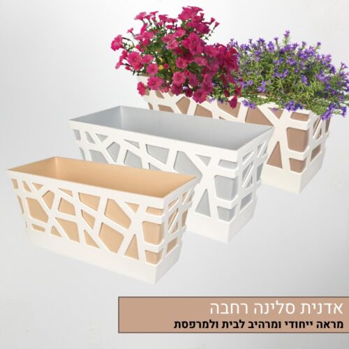 אדנית סלינה רחבה