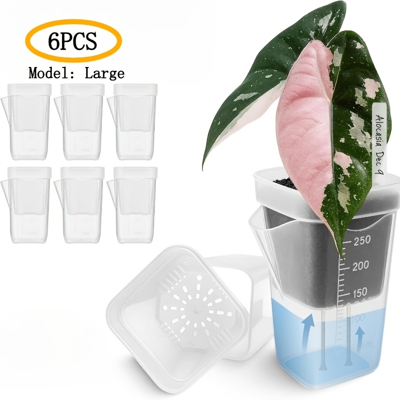 product-fancy-bbabbc60-a428-4490-be80-4b306509ef7e עציץ סמי הידרו שקוף - עציץ השקיה עצמית לצמחי בית ולהשרשת ייחורים