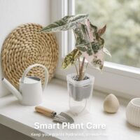 product-open-c2bd72e6766b4d5eb13becd92547b998-goods עציץ סמי הידרו שקוף - עציץ השקיה עצמית לצמחי בית ולהשרשת ייחורים