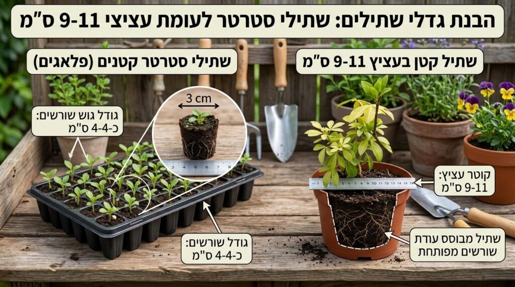 הסבר
