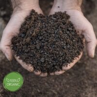 קומפוצ’אר (CompoChar) קומפוסט מועשר ביוצ’אר לשיפור הקרקע והעצמת הצמיחה