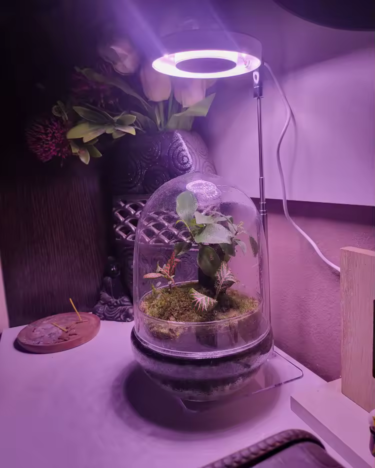 תאורת LED מתכווננת לצמחים בעלת ספקטרום אור מלא - 4 מצבי עמעום + הגדרת זמן תאורה photo review