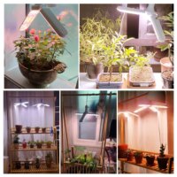 מנורת גידול LED מתקפלת לצמחים בעלת ספקטרום אור מלא 24W 36W 48W - מומלץ למגדלים !